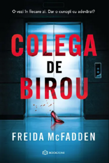 Colega de birou