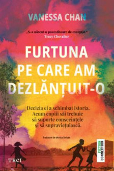 Furtuna pe care am dezlantuit-o